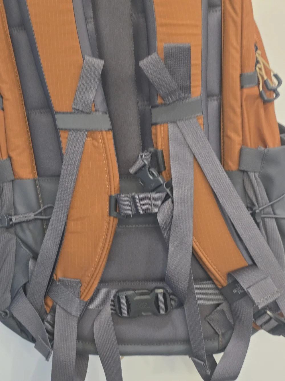 The North Face nwt north